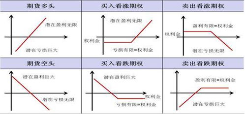 商品期权最新动态，深度解析影响及观点阐述