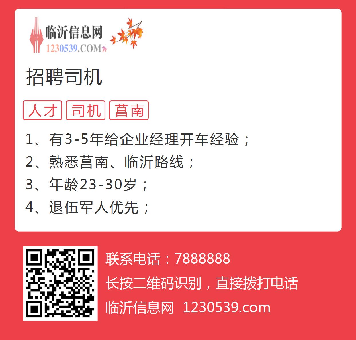 烟台最新司机招聘探秘，小巷特色小店招募司机