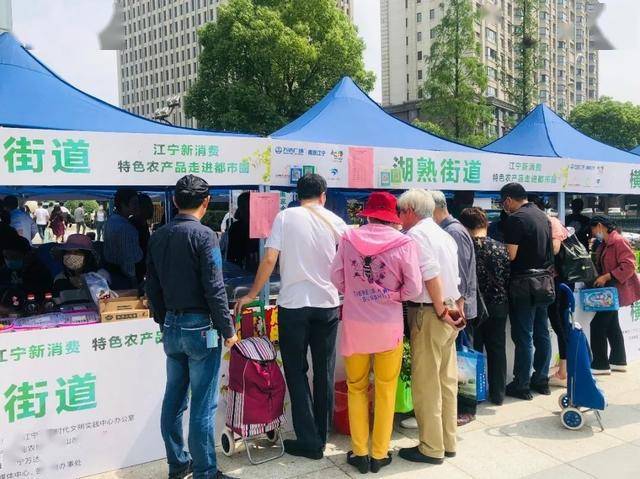 静宁苹果 第15页
