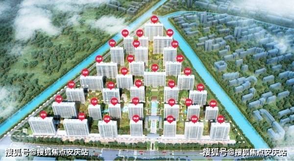 青松建化最新利好全方位解析与指南