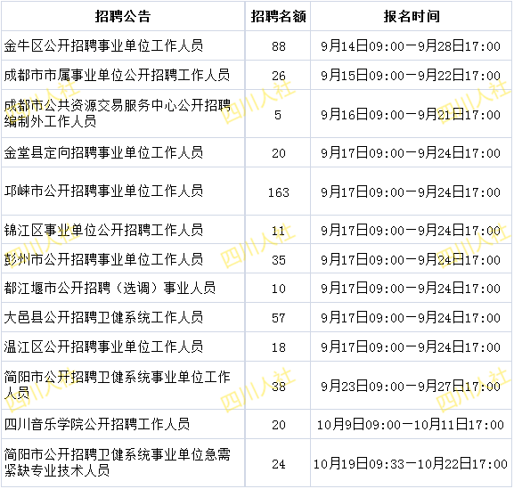 自贡最新招聘信息深度探索，巷弄人才宝藏一网打尽