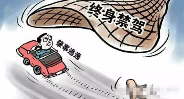 肇事逃逸处罚最新标准与心灵探险之旅的双重解读